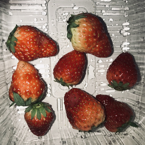 欧美成人国产91视频
